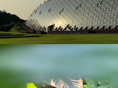 -上海辰山植物园