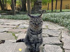 -西园戒幢律寺