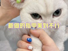 -万达广场(东莞东城店)