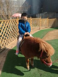 -萌宠亲子动物乐园(槐房万达店)