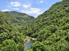 -芦茨金富饭庄·25年老字号·专做稻草鸡