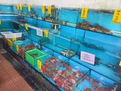 -崖口红树林海鲜餐厅