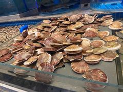 -一方渔歌蒸汽海鲜自助(文化路万达广场店)