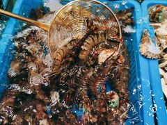 -曼格活海鲜·牛排自助(光明蓝鲸店)