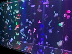 -邯郸海洋世界