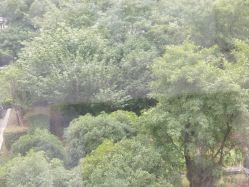 -中法母婴月子中心(南湖创始店)