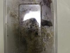 -梧桐餐厅(泉城路店)