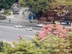 -广州花园酒店