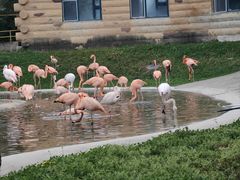 -哈尔滨北方森林动物园