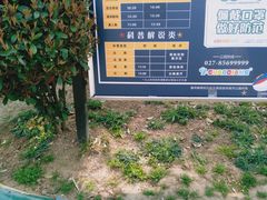 -海合安武汉极地海洋公园