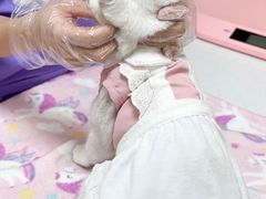 -瑞派康怡24h宠物医院·犬猫医疗中心·微创绝育(瑞景分院)