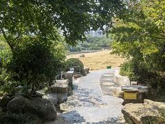 -青枫公园
