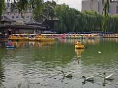 -团结湖公园