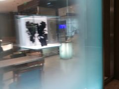 -Tiffany & Co.蒂芙尼
(武汉武商MALL店)