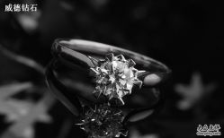 -威德钻石-克拉钻大本营(南京东路店)