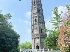 -上海佘山国家森林公园天马山园