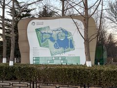 -大兴滨河森林公园