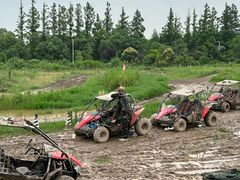 -上海长兴岛郊野公园