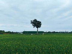 -嘉北郊野公园