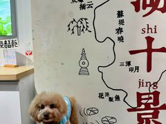 -猫的天空之城概念书店(杭州南宋御街店)