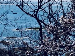 -青岛海滨风景区