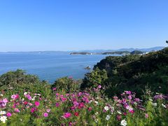 -滨千鸟之汤 海舟