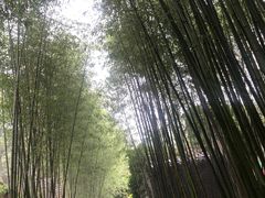 -竹泉村旅游度假区
