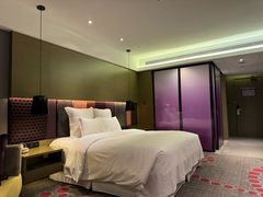 -南京禄口机场雅高铂尔曼大酒店