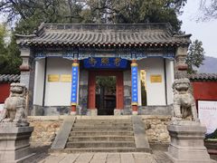 -泰山风景名胜区-普照寺