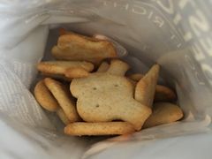 -德国汉莎航空公司