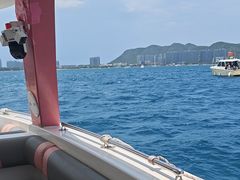 -小猫钓鱼海钓俱乐部(椰梦长廊店)