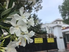-西郊壹号