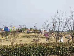 -紫颐香薰山谷景区