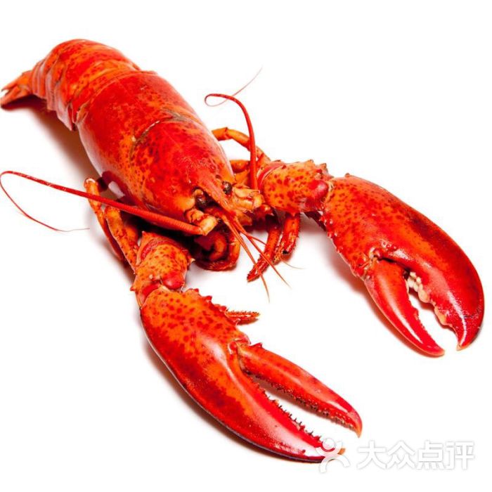 盱眙红大龙虾图片 - 第2张