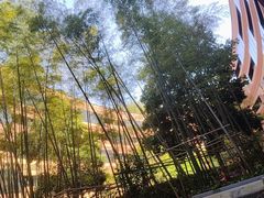 -上海衡山路十二号华邑酒店