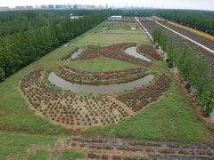 -上海长兴岛郊野公园