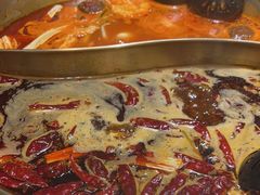 -小龙坎火锅(总店)