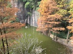 -广州莲花山旅游区