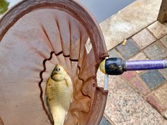 -酷鱼垂钓CLUB(朝阳区博大路店 )