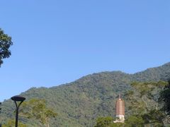 -深圳仙湖植物园