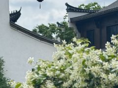 -梅城古镇