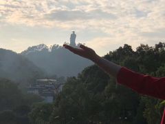 -南山植物园