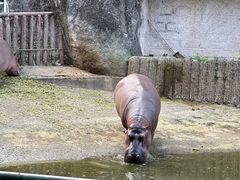 -深圳野生动物园