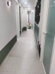 -苗方清颜·祛痘皮肤管理