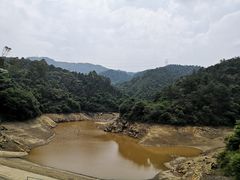 -佛山市三水区大南山森林公园
