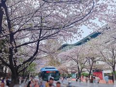 -鸡鸣寺