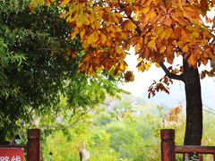 -九如山休闲旅游度假区