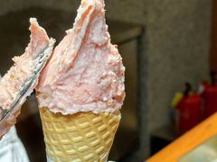 -野人先生Gelato(上海长宁龙之梦店)