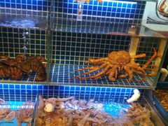 水产区-必点海鲜·鲅鱼水饺(鞍山西道店)