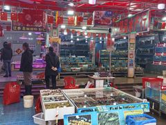 -上海龙吴水胜海发市场